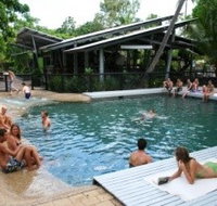Bungalow Bay Koala Village - Accommodation Daintree