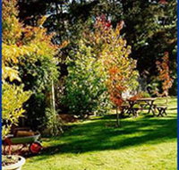 Peartree Cottage Leura - Accommodation Daintree
