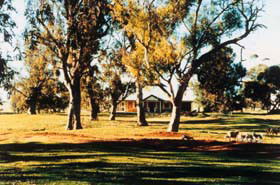 Blue Gum House - Accommodation Daintree 0