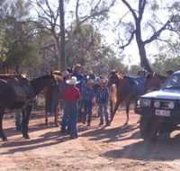 Evening Star Tourist Park - Accommodation Daintree