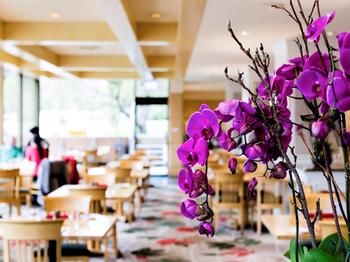 Pullman Melbourne On The Park - Accommodation Daintree 42