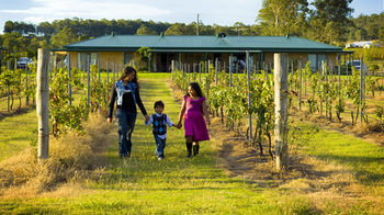Talga Estate - Accommodation Daintree 26
