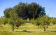 Talga Estate - thumb 11