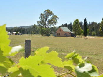 Madigan Wine Country Cottages - Accommodation Daintree 94