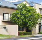 Quest Maitland Serviced Apartments - Accommodation Daintree