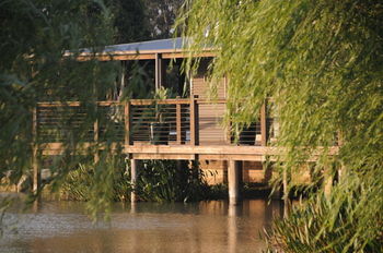 Lilies Luxury Retreats - Accommodation Daintree 25