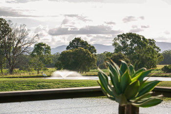 Lilies Luxury Retreats - Accommodation Daintree 44