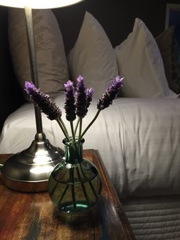 Lilies Luxury Retreats - Accommodation Daintree 51