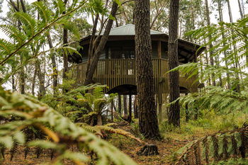 Federation Gardens & Possums Hideaway - Accommodation Daintree 3