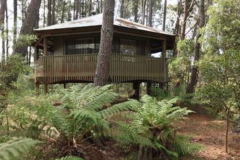 Federation Gardens & Possums Hideaway - Accommodation Daintree 8