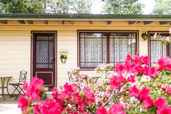 Federation Gardens & Possums Hideaway - Accommodation Daintree 19