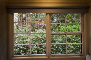 Federation Gardens & Possums Hideaway - Accommodation Daintree 39