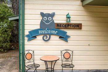 Federation Gardens & Possums Hideaway - Accommodation Daintree 46
