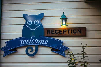 Federation Gardens & Possums Hideaway - Accommodation Daintree 64