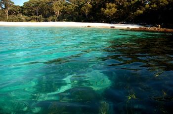 Worrowing At Jervis Bay - Accommodation Daintree 98