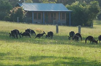 Worrowing At Jervis Bay - Accommodation Daintree 31