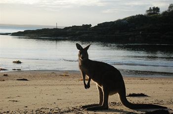 Worrowing At Jervis Bay - Accommodation Daintree 35