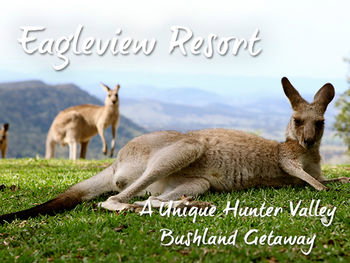 Eagleview Resort - Accommodation Daintree 45