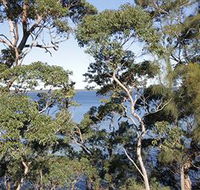 The Edgewater Bed amp Breakfast - Accommodation Daintree