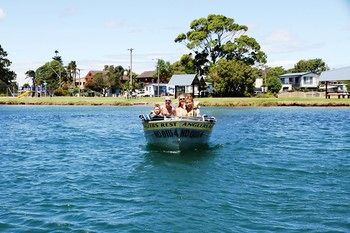 South Coast Retreat - Accommodation Daintree 19