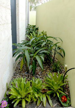 By The Beach B&B And Apartments - Accommodation Daintree 5