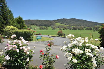Langbrook Estate Cottages - Accommodation Daintree 15
