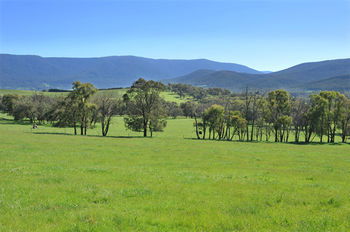 Langbrook Estate Cottages - Accommodation Daintree 16