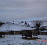 Bowen Inn Motel - Accommodation Daintree
