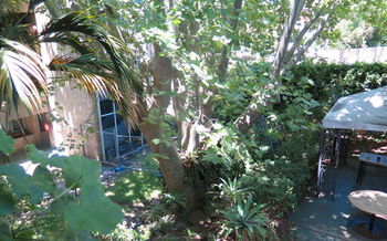 Amg Motel & Serviced Apartments - Accommodation Daintree 2