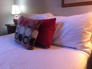 Boronia Lodge Burwood - Accommodation Daintree 39