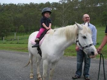 Hill Top Country Guest House - Accommodation Daintree 3
