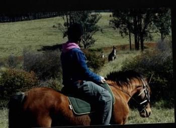 Hill Top Country Guest House - Accommodation Daintree 4