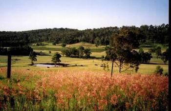 Hill Top Country Guest House - Accommodation Daintree 10