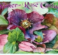 A Winter-rose Cottage BampB - Accommodation Daintree