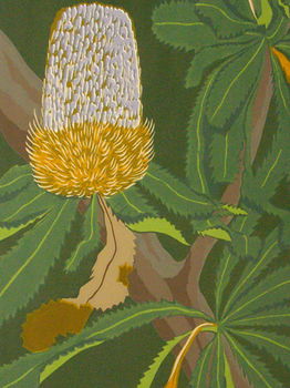 Sandholme Guesthouse - Accommodation Daintree 23