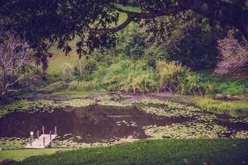 Allara Homestead - Accommodation Daintree 5