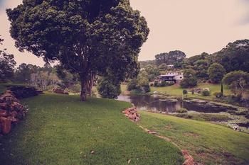Allara Homestead - Accommodation Daintree 7