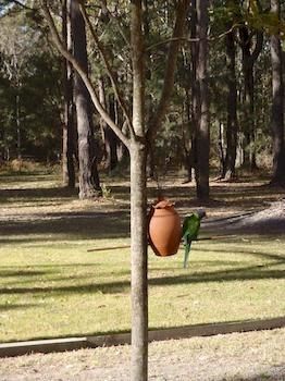 Woollamia Village Retreat - Accommodation Daintree 2