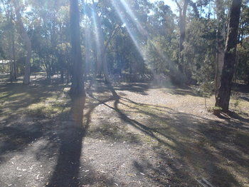 Woollamia Village Retreat - Accommodation Daintree 43