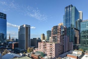 CBD Vistas - Accommodation Daintree 2