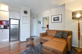 CBD Vistas - Accommodation Daintree 5