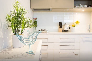 Anchor On Collins Sapphire - Accommodation Daintree 4