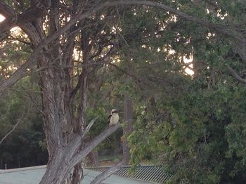 Huskisson Beach Bed And Breakfast - Accommodation Daintree 7