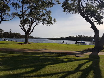Bentley Waterfront Motel & Cottages - Accommodation Daintree 21
