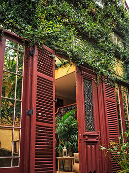The Regents Park - Accommodation Daintree 4