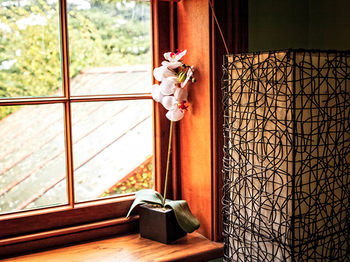 The Regents Park - Accommodation Daintree 25