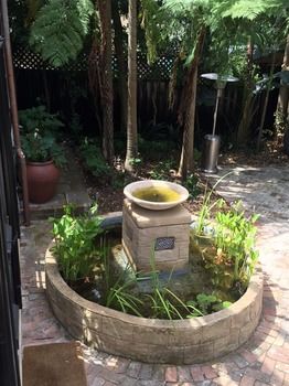 The Regents Park - Accommodation Daintree 52
