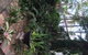 The Regents Park - thumb 55