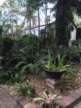 The Regents Park - Accommodation Daintree 55