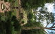 The Regents Park - thumb 56